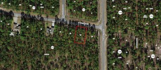 1148 W Galgano St, Citrus Springs, FL 34434