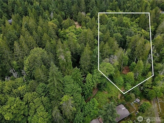 101 N Arnolds Way, Hoodsport, WA 98548