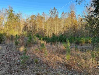 TBD Kemper Church Rd, Lake View, SC 29563