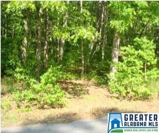 0 Lakeshore Dr Unit 26 & 27 770385, Ohatchee, AL 36271