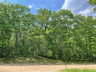 Lot #83 Sitzmark Dr, Hawes Township, MI 48762