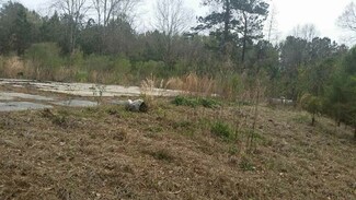 1021 Swan C Ln Unit 20, Hazlehurst, MS 39083