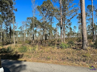 Tract-9 Lower Simmons Rd, Macon, GA 31220