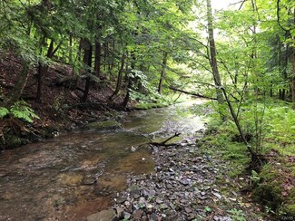 00 Junction Rd, Guilford, NY 13780