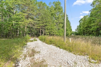 0 Griff Johnson Rd, Menlo, GA 30731