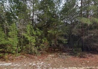 0 Theresa Ave Unit MFRO6321334, Interlachen, FL 32148