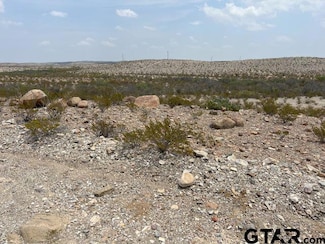 501 Cougar Way Pid 20784, Terlingua, TX 79852
