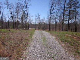 0 Hwy 136 Hwy W Unit 10485570, Talking Rock, GA 30175