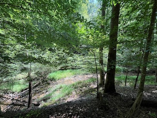 LOT 223 Bowline Dr, Ellijay, GA 30540