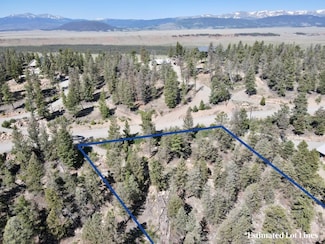 1720 Middle Fork Vista, Fairplay, CO 80440