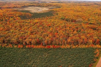 TBD Lot #2 Tressel Trail, Iron River, WI 54847