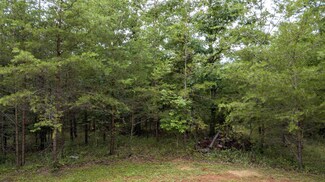 0 Valley Ln Unit RTC2550514, Spencer City, TN 38585