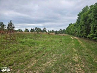 1602 County Road 49, Headland, AL 36345