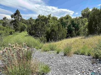 TBD Camp Luna Area Rd, Las Vegas, NM 87701