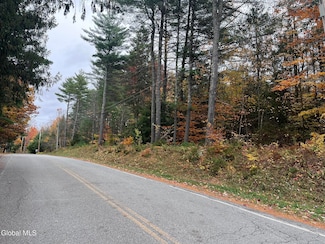 L35 Truesdale Hill Rd, Lake George, NY 12845