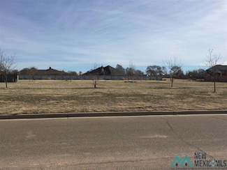 105 Colonial Estates Pkwy, Clovis, NM 88101