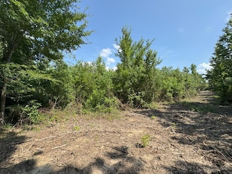 TBD Cr 4855, Timpson, TX 75975