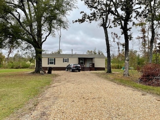 60057 George Pearce Rd, Smithville, MS 38870