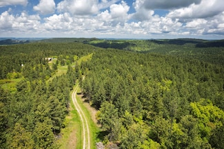 336 Middle Fork Rd, Devils Tower, WY 82714