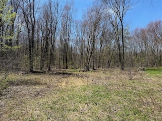 117 Albion Cross Rd, Parish, NY 13131