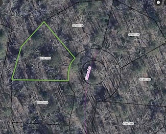 10 Ciervo Ln, Hot Springs Village, AR 71909
