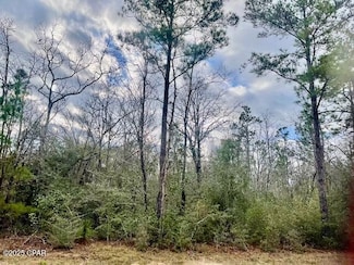 Lot 9 Red Rd, Marianna, FL 32448