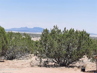 1244c2 Shadow Mountain Pkwy, Seligman, AZ 86337