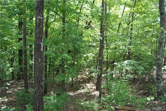 00 County Lake Rd, Sulligent, AL 35586