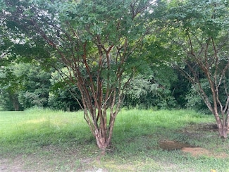 6617 Sweetbay Ct, Mobile, AL 36618