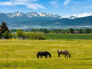 TBD Dovetail Ln, Bozeman, MT 59718