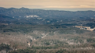 0 Trebark Rd Lot Unit WP001, Buchanan, VA 24066