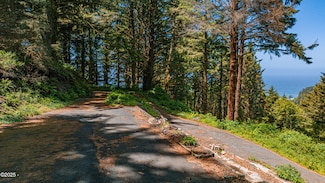 6000 Windy Ln, Neskowin, OR 97149