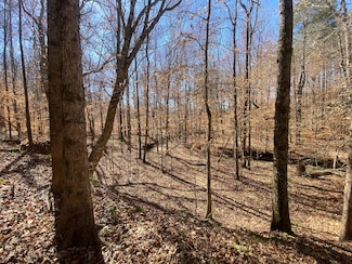 0 County Road 53, Daviston, AL 36256
