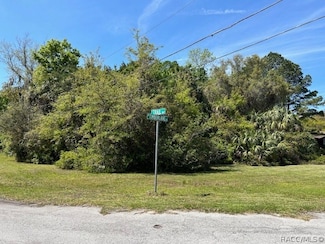 4816 S Trail Way, Homosassa, FL 34448