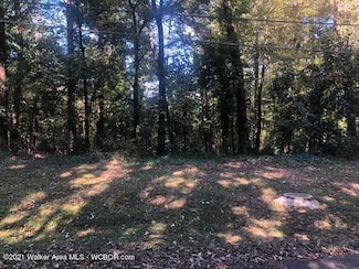 0 College Hill Rd, Jasper, AL 35501