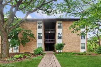 5527 E Lake Dr Unit D, Lisle, IL 60532