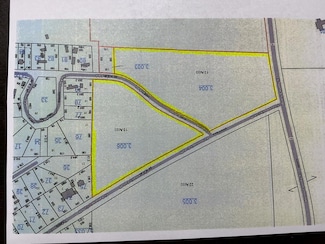 0 S Henry Cr 93 Fisherman's Cutoff, Abbeville, AL 36210