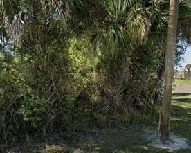 Unknown Yardley St SW, Palm Bay, FL 32908