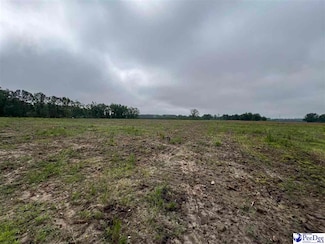 TBD Harry Byrd Hwy, Darlington, SC 29532