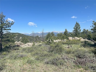 591599 Soul Shine Rd, Drake, CO 80515