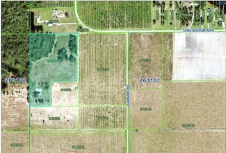 7710 Lake Buffum Rd N, Fort Meade, FL 33841