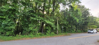 139 Wilson Ave, Stockbridge, GA 30281
