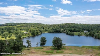 81 Sam Hill Rd, Craryville, NY 12521