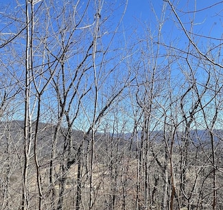 60 & 61J Mountain Harbour Dr, Hayesville, NC 28904