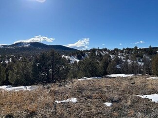 3500 Indian Wells Rd, Cotopaxi, CO 81223
