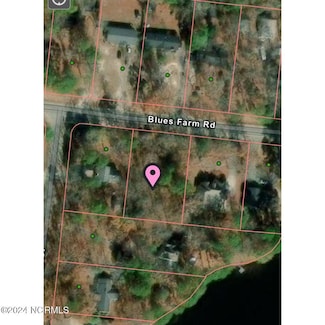0 Blues Farm Rd, Laurinburg, NC 28352