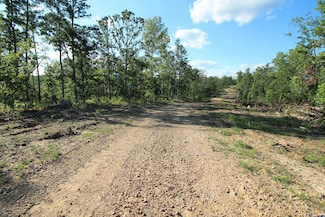 000 Madison Cr 410, Fredericktown, MO 63645