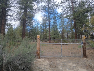 0 Cathy Way Unit Lots 21,22,23, Beatty, OR 97621