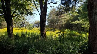 1110 Daisy Hollow Rd, Dryden, NY 13053