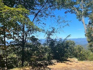 25 25 Stoney Bluff, Bryson City, NC 28803